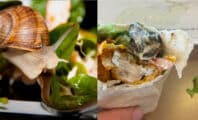 McDonald's : Un homme découvre un escargot dans son wrap au poulet