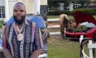 Rick Ross richissime : il utilise le coffre de ses Ferrari pour nourrir ses chevaux