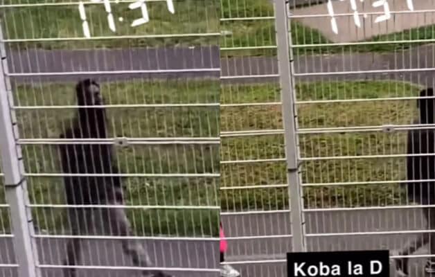 Koba LaD mis en examen : des images de lui à Fleury-Mérogis fuitent sur la Toile